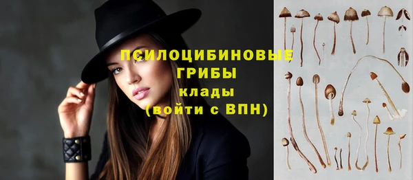 круглые Алексеевка