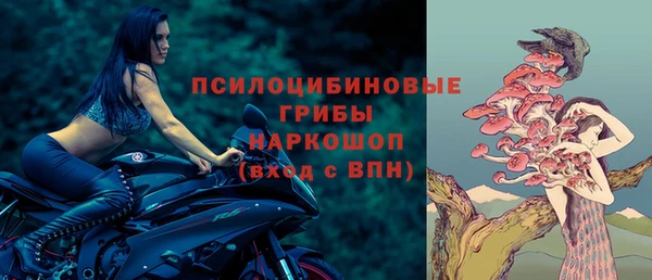 круглые Алексеевка