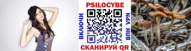 Псилоцибиновые грибы Magic Shrooms blacksprut tor Бикин где продают наркотики