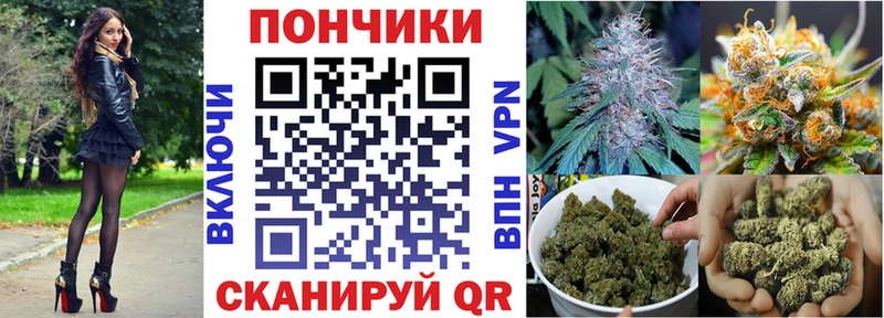 Канабис семена купить цена Бикин